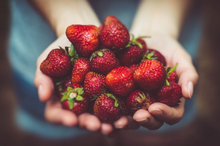 From Farm to Table: Supporting Local Producers